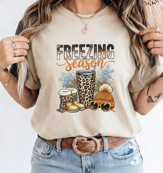 Freezing Season